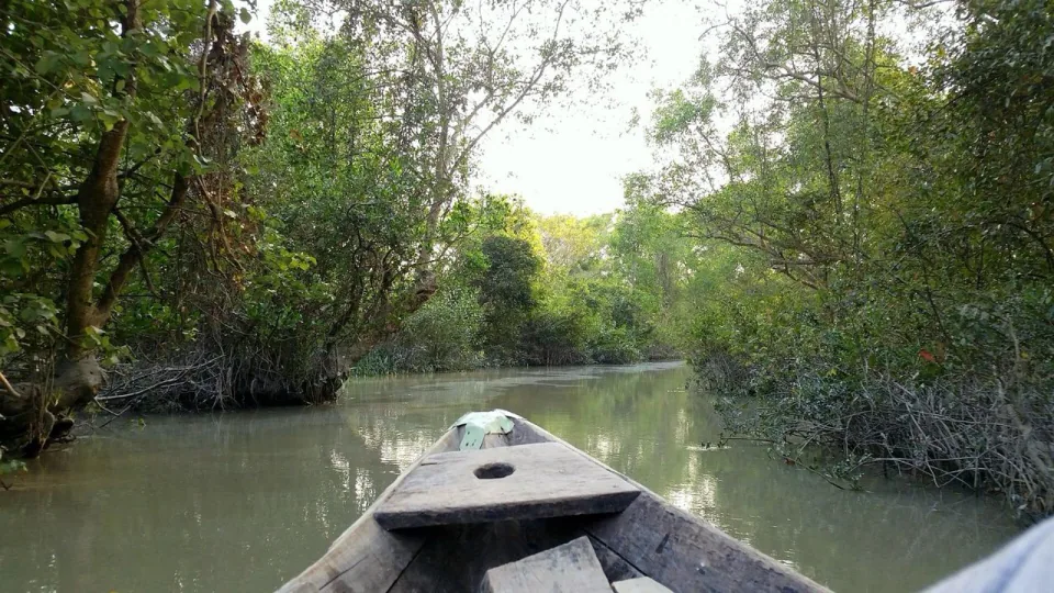 View from a wooden boat along a narrow creek through the mangrove forest of Char Kukri Mukri
