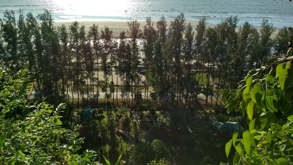 The Marine Drive road lined with tall trees between the hills and the sea near Himchhari