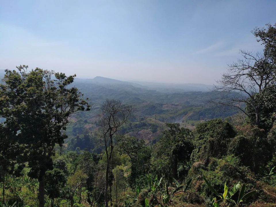 Rolling forested hills seen from Sajek Valley in Baghaichhari