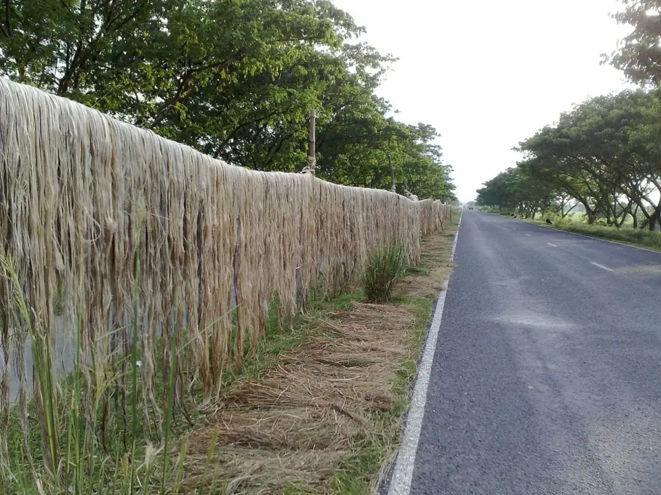 Faridpur jute and jute goods