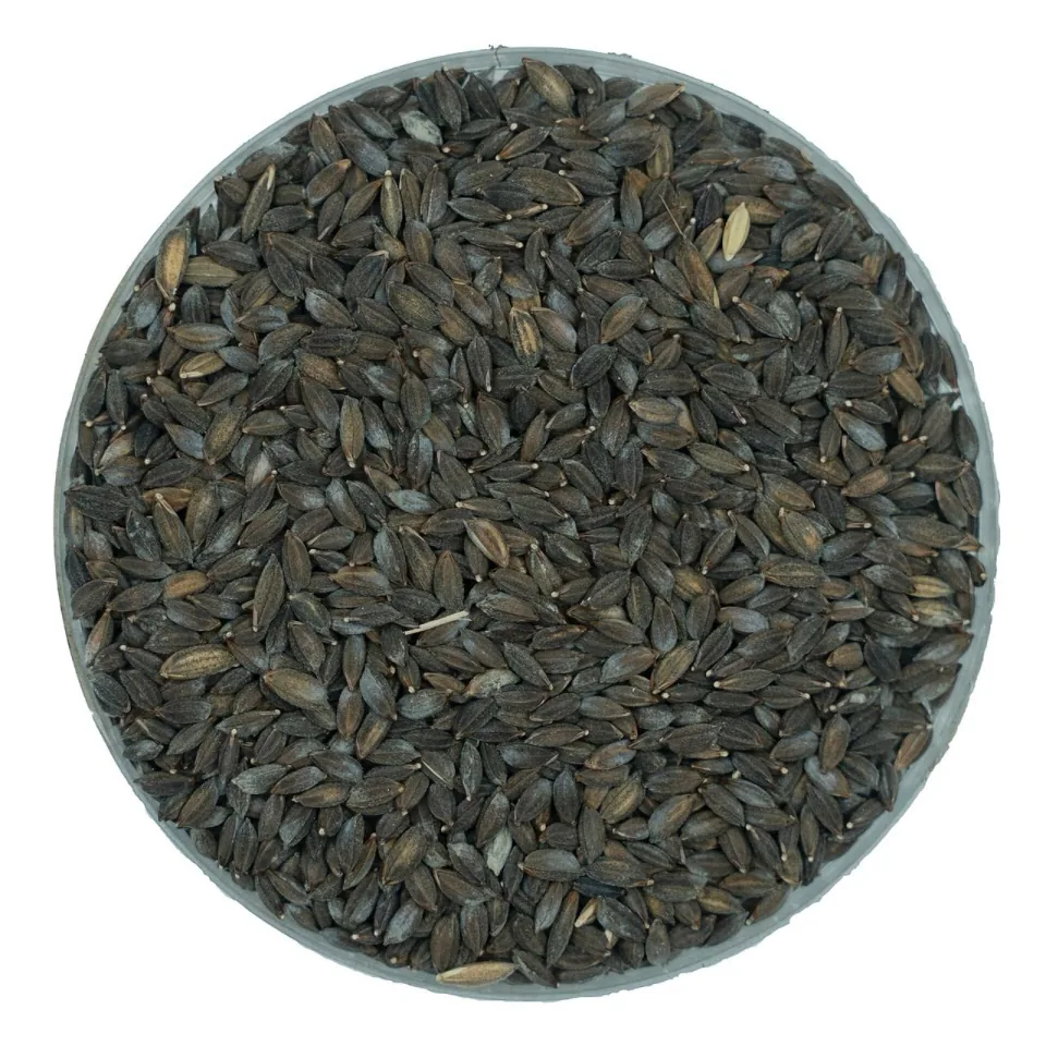 Kalijira rice