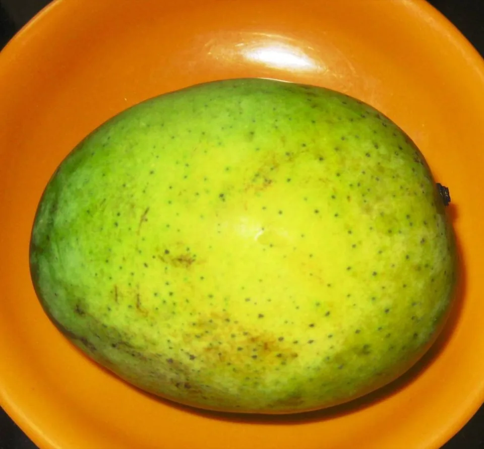 Langra mango of Chapainawabganj