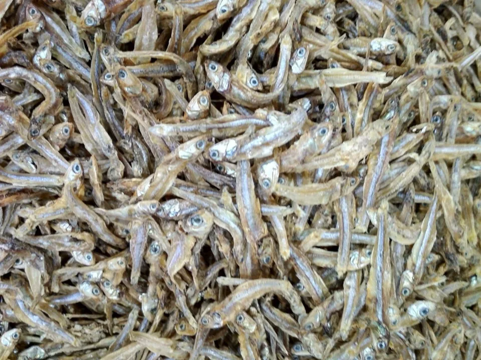 Shutki (dried fish) — Cox's Bazar, Chattogram, Kuakata and the haor